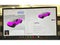 2025 Tesla Cybertruck Crew Cab Medium Bed