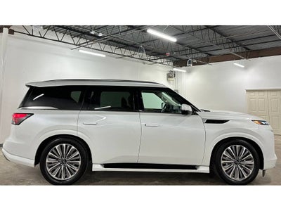2025 INFINITI QX80 Luxe