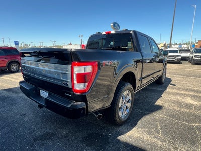 2023 Ford F-150 Platinum